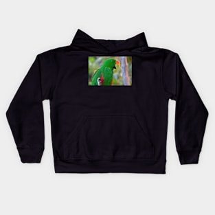 Parrot Kids Hoodie